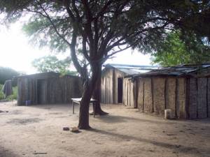 Solidaridad con los campesinos originarios contra el desalojo y la represi&oacute;n