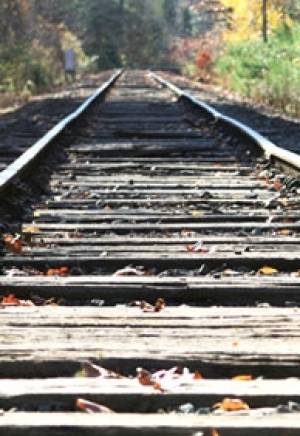 La v&iacute;a de las rebeld&iacute;as