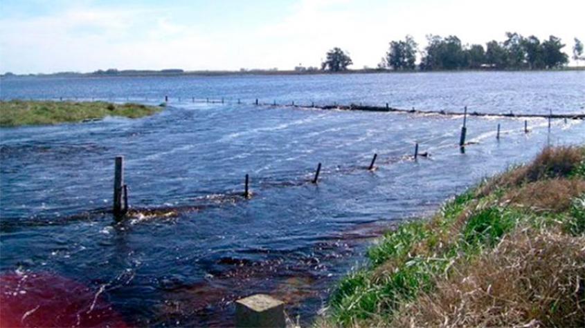 “El tiempo está loco”: en 7 años Argentina deforestó 2 millones de hectáreas