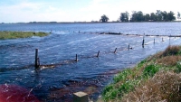 &ldquo;El tiempo est&aacute; loco&rdquo;: en 7 a&ntilde;os Argentina deforest&oacute; 2 millones de hect&aacute;reas
