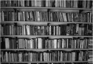 Diario de un escritor entrerriano