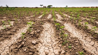 &ldquo;La situaci&oacute;n que est&aacute;n pasando los peque&ntilde;os productores del campo es demoledora&rdquo;