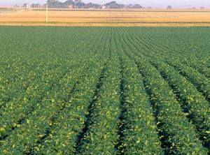 El censo nos enrostra otra vez la expulsi&oacute;n, ese flagelo