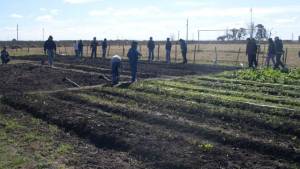 En &ldquo;el campo&rdquo; no todo es lo mismo