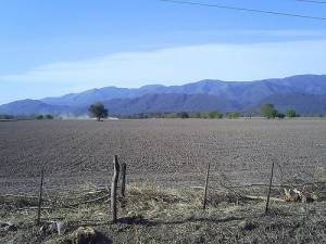 Frente a la econom&iacute;a verde y la posici&oacute;n argentina frente a R&iacute;o+20