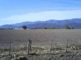 Frente a la econom&iacute;a verde y la posici&oacute;n argentina frente a R&iacute;o+20