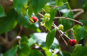 Atravesar paredes en el colegio y las disciplinas