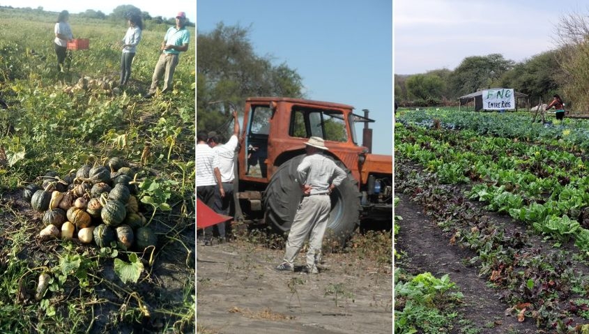 Preocupados por las políticas de Milei, impulsan una multisectorial agraria en Entre Ríos