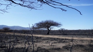 Incendios en Córdoba: el mismo fuego, múltiples culpables