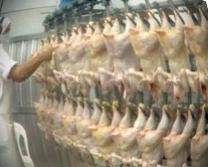 &ldquo;Trabajar en un frigor&iacute;fico es convertirse en esclavo&rdquo;