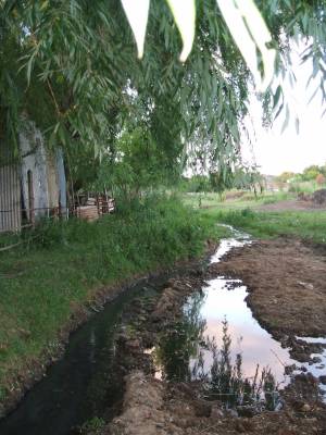 Negociados versus Vida Sana