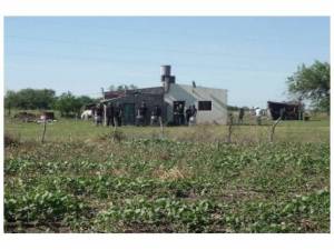 Los desheredados, el gobierno y Tres Arroyos