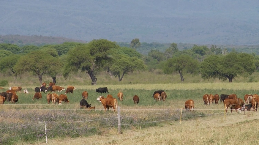 El vaciamiento del campo profundo: "Hay una destrucci&oacute;n sistem&aacute;tica de las pol&iacute;ticas hacia los peque&ntilde;os productores"
