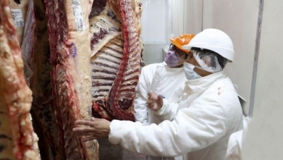 Exportaciones: para el PTP la apertura deber&iacute;a ser con medidas que contengan el precio y aumenten el stock ganadero