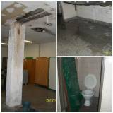 Encuentran alacranes en el baño de una escuela