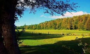Legislar sobre el suelo del Bicentenario