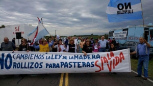 Ambientalistas, concejales e instituciones de Gualeguaych&uacute; solicitan a Diputados que no deroguen la Ley de la Madera