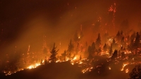 Equipo de extensión de UADER alerta por el avance de los incendios forestales