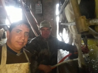 Carta a un entrerriano despedido de Agricultura Familiar