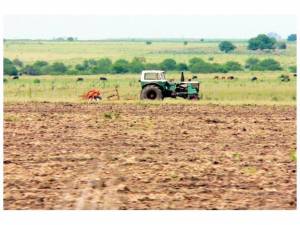 Se profundiza la concentraci&oacute;n del uso de las tierras agr&iacute;colas 