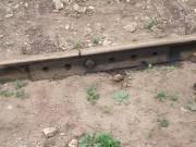 Otro viaje en el tren del doble discurso